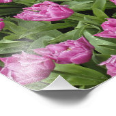 Tuinpatroon, Keukenhof Gardens Foto Afdruk (Hoek)