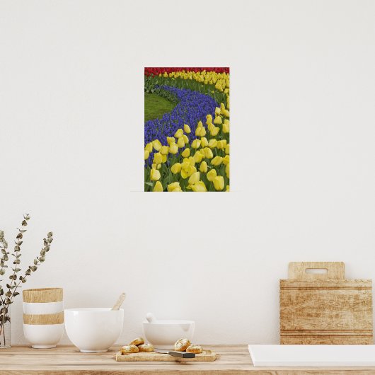 Tuinpatroon van de druiventeelt Hyacinth en Poster (Keuken)