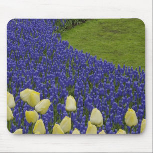 Tuinpatroon van druifhyacint bloemen en 2 muismat
