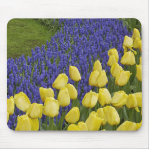 Tuinpatroon van druifhyacint bloemen en muismat
