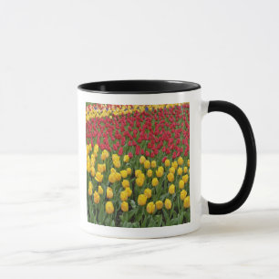 Tuinpatroon van tulpen, Keukenhof, 2 Mok