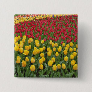 Tuinpatroon van tulpen, Keukenhof, 2 Vierkante Button 5,1 Cm