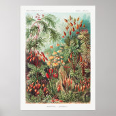 TuinPlanten Poster (Voorkant)