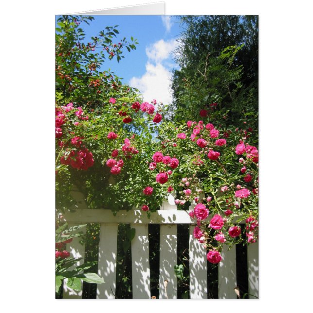 tuinpoort (Voorkant)