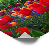 TuinPoster Poster (Hoek)