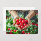 Tuinradijs met heldere kleuren feestdagenkaart (Voorkant / Achterkant)