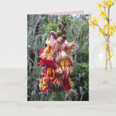 Tuinrand gestreepte rode leeuwenbek bloemkaart kaart (Gele Bloem)