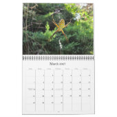 Tuinroofdieren 2013 kalender (Mar 2027)
