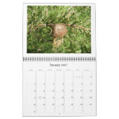 Tuinroofdieren 2013 kalender (Jan 2027)