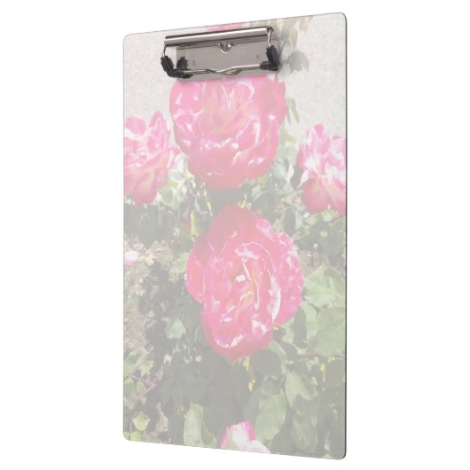 Tuinrozen I Klembord (Links)