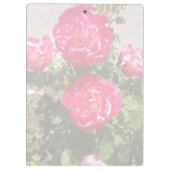 Tuinrozen I Klembord (Achterkant)