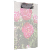 Tuinrozen I Klembord (Rechts)