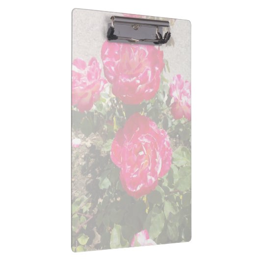 Tuinrozen I Klembord (Rechts)