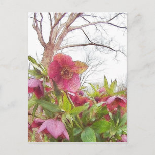Tuinschilderij - Hellebores en oude eikenhout Briefkaart