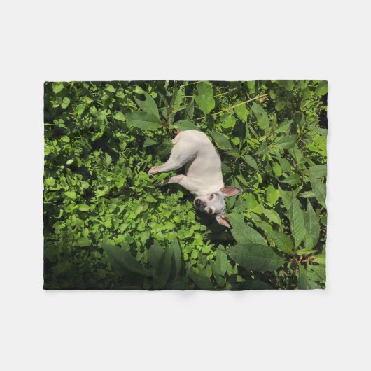 tuinschildpad fleece deken (Voorkant (Horizontaal))