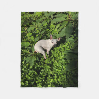 tuinschildpad fleece deken