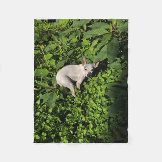 tuinschildpad fleece deken (Voorkant)