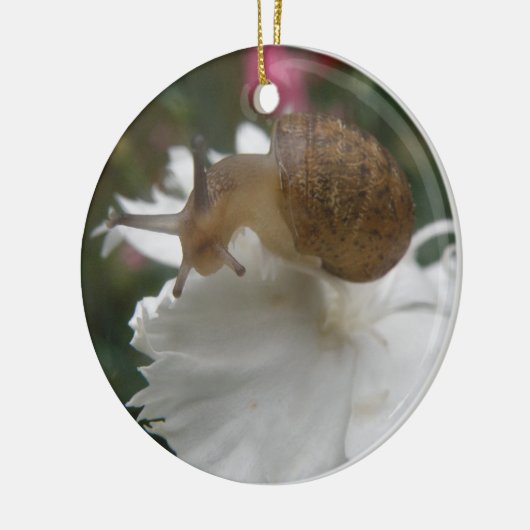 Tuinslak en witte anjer Aangepaste verjaardag Keramisch Ornament (Links)