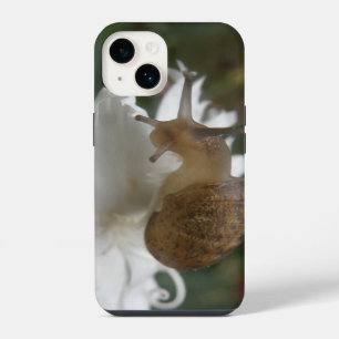 Tuinslak en Witte Anjer iPhone 14 Hoesje