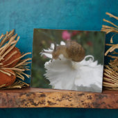 Tuinslak en witte anjer Plaque Fotoplaat (Zijkant)