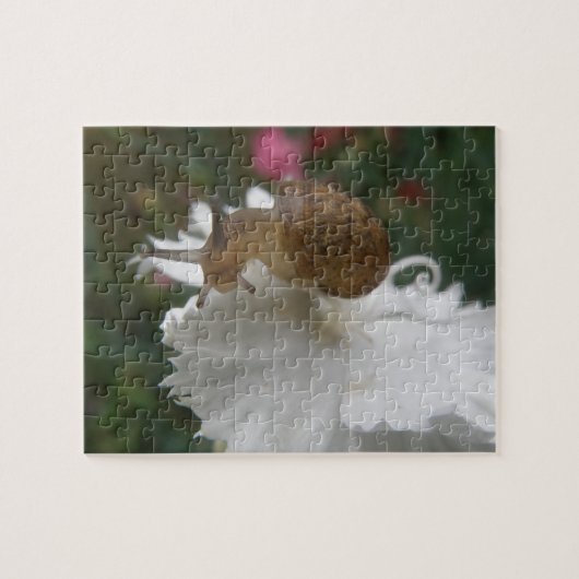 Tuinslak en witte anjer Puzzle Legpuzzel (Horizontaal)