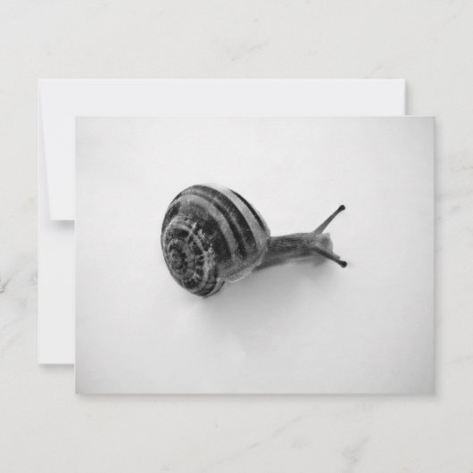Tuinslak Natuurfotografie (Voorkant)
