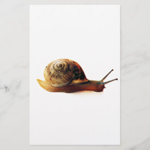 Tuinslak Natuurfotografie Briefpapier