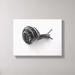 Tuinslak Natuurfotografie Canvas Afdruk
