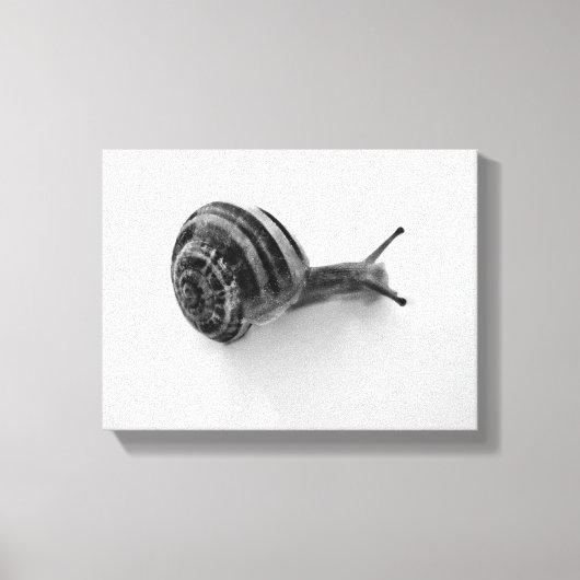 Tuinslak Natuurfotografie Canvas Afdruk (Voorkant)