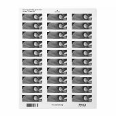 Tuinslak Natuurfotografie Etiket (Full Sheet)