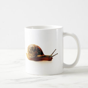 Tuinslak Natuurfotografie Koffiemok