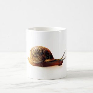 Tuinslak Natuurfotografie Koffiemok