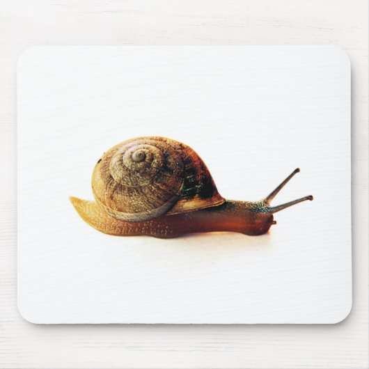 Tuinslak Natuurfotografie Muismat (Voorkant)