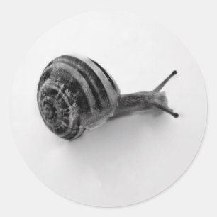 Tuinslak Natuurfotografie Ronde Sticker