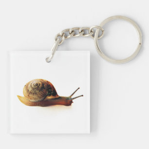 Tuinslak Natuurfotografie Sleutelhanger