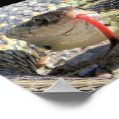 Tuinslang Poster (Hoek)