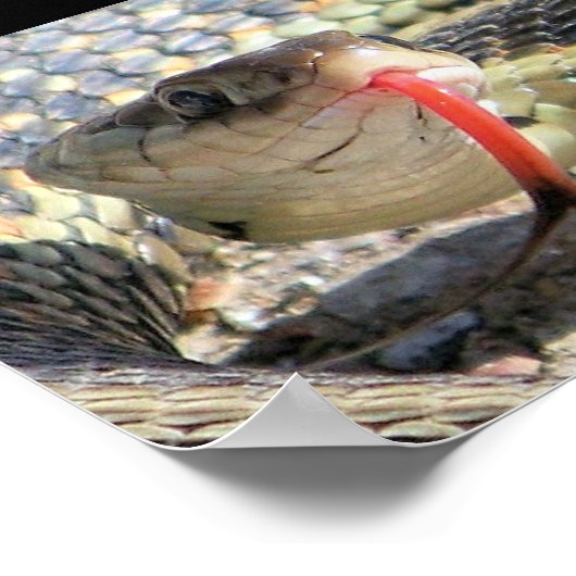 Tuinslang Poster (Hoek)