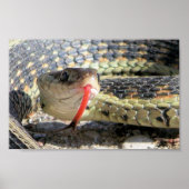 Tuinslang Poster (Voorkant)