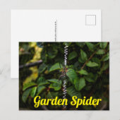 Tuinspin Bouwt een Web Poster Briefkaart (Voorkant / Achterkant)