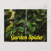 Tuinspin Bouwt een Web Poster
