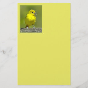 Tuinspot Oriole - Originele Foto Briefpapier