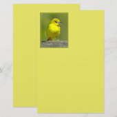Tuinspot Oriole - Originele Foto Briefpapier (Voorkant / Achterkant)