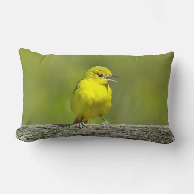 Tuinspot Oriole - Originele Foto Kussen (Voorkant)