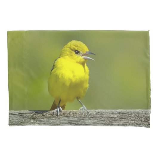 Tuinspot Oriole - Originele Foto Kussensloop (Voorkant)