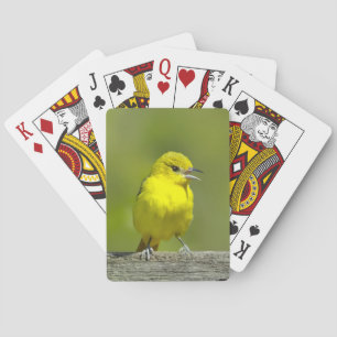 Tuinspot Oriole - Originele Foto Pokerkaarten