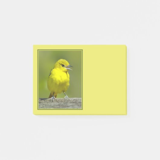 Tuinspot Oriole - Originele Foto Post-it® Notes (Voorkant)