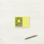 Tuinspot Oriole - Originele Foto Post-it® Notes (Op bureau)