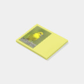 Tuinspot Oriole - Originele Foto Post-it® Notes (Schuin)