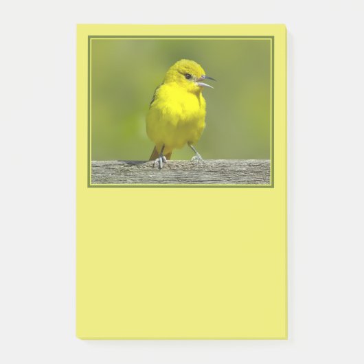 Tuinspot Oriole - Originele Foto Post-it® Notes (Voorkant)