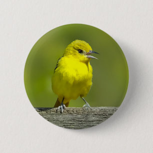 Tuinspot Oriole - Originele Foto Ronde Button 5,7 Cm